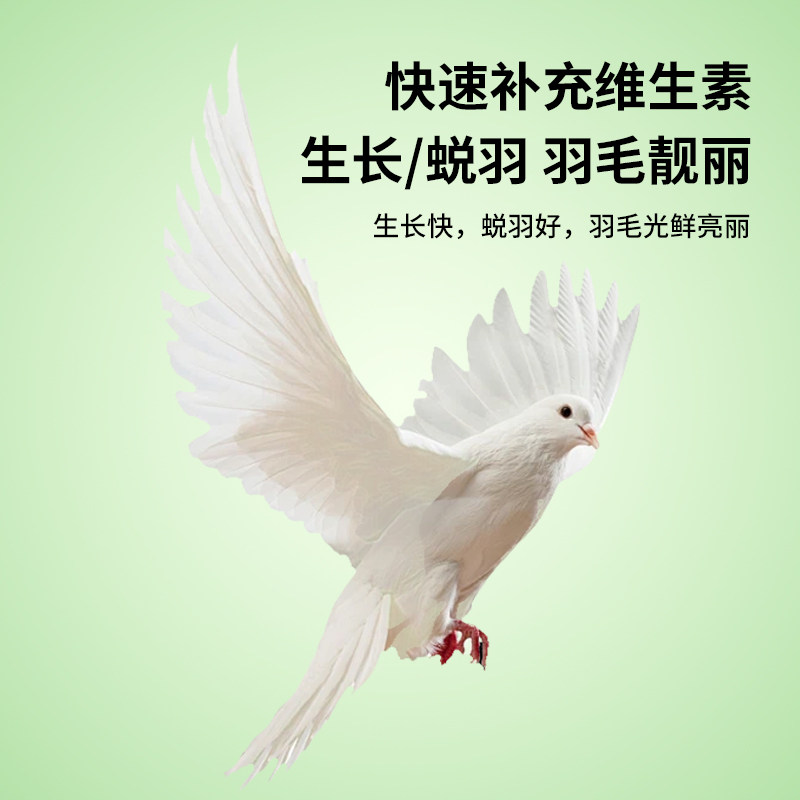 鸽用多维电解质赛鸽赛信鸽子补肝强肾专用排酸营养保健调理品专用