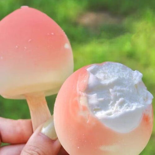 新品红旗桃気系列冰淇淋福芒脆皮芒果口味雪糕网红同款冰激凌盒装 - 图0