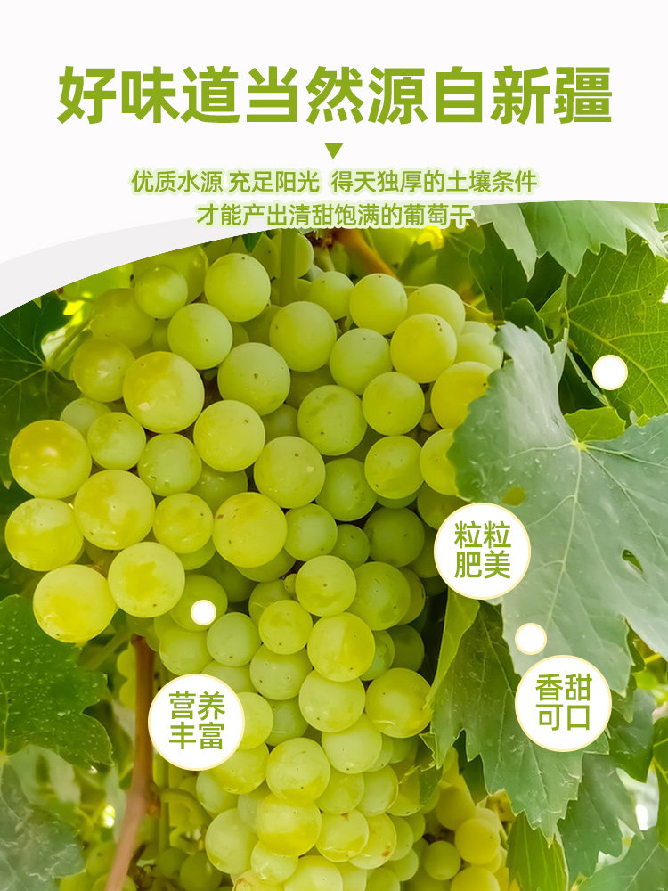 2022年新疆超大黑加仑特年货葡萄干 夏日虹葡萄干