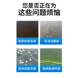 Биологическая модификация дна для рыб, креветок, крабов и рыбоводных прудов, модификация дна аквакультуры, очистка воды, разложение остатков приманки, разложение аммиачного азота и удаление нитритов.