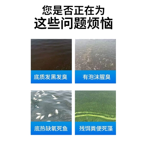 Биологическая модификация дна для рыб, креветок, крабов и рыбоводных прудов, модификация дна аквакультуры, очистка воды, разложение остатков приманки, разложение аммиачного азота и удаление нитритов.