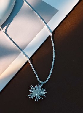 040绝美小众森系设计师烟花耳钉项链套装白色爆款