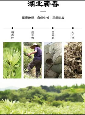 唯艾中艾国灸蕲春雷火透灸正宗蕲艾雷火灸大炮灸火龙卷医家用艾条