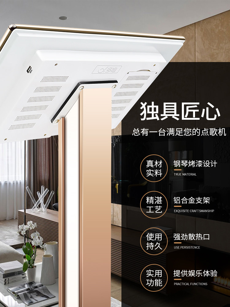 星网视易d68 / c90家庭ktv k功放 视易雷音KTV/卡拉OK音箱