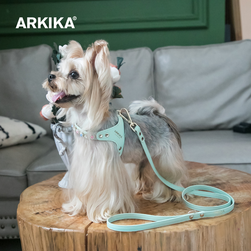 ARKIKA小型犬狗狗牵引绳胸背式约克夏茶杯泰迪宠物网红外出遛狗绳 - 图2