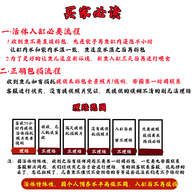 淡水活体观赏螺宠物蜗牛清洁除藻工具螺神秘黑金刚斑马洋葱苹果螺 - 图2