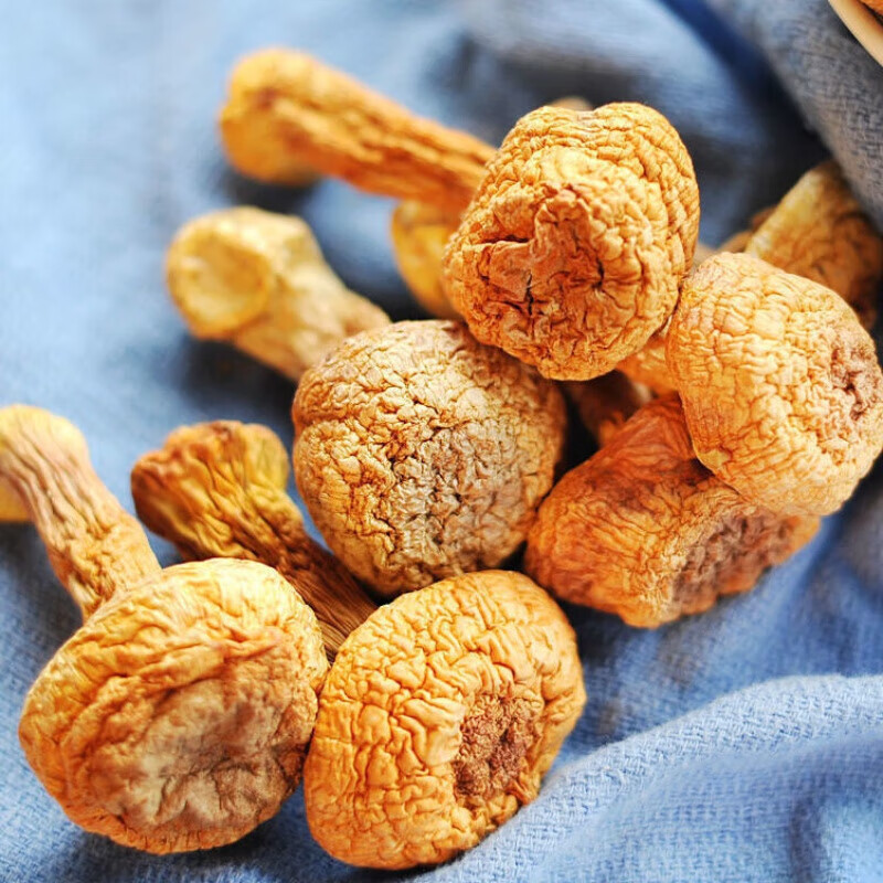 菌裕云南姬松茸干货500g无熏硫小菇巴西菇特产仿野生松茸当日发货 - 图1