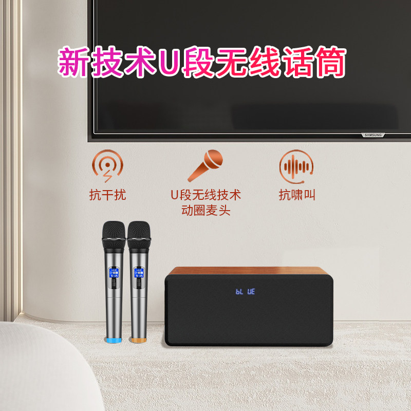 家庭ktv套装全套家用k歌小型音响 yayaoKTV/卡拉OK音箱