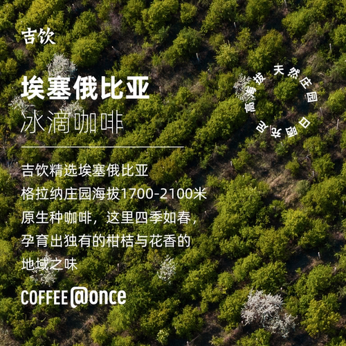 @once吉饮冰滴冷萃浓缩咖啡液美式拿铁便携提神诶塞俄比亚咖啡 - 图2