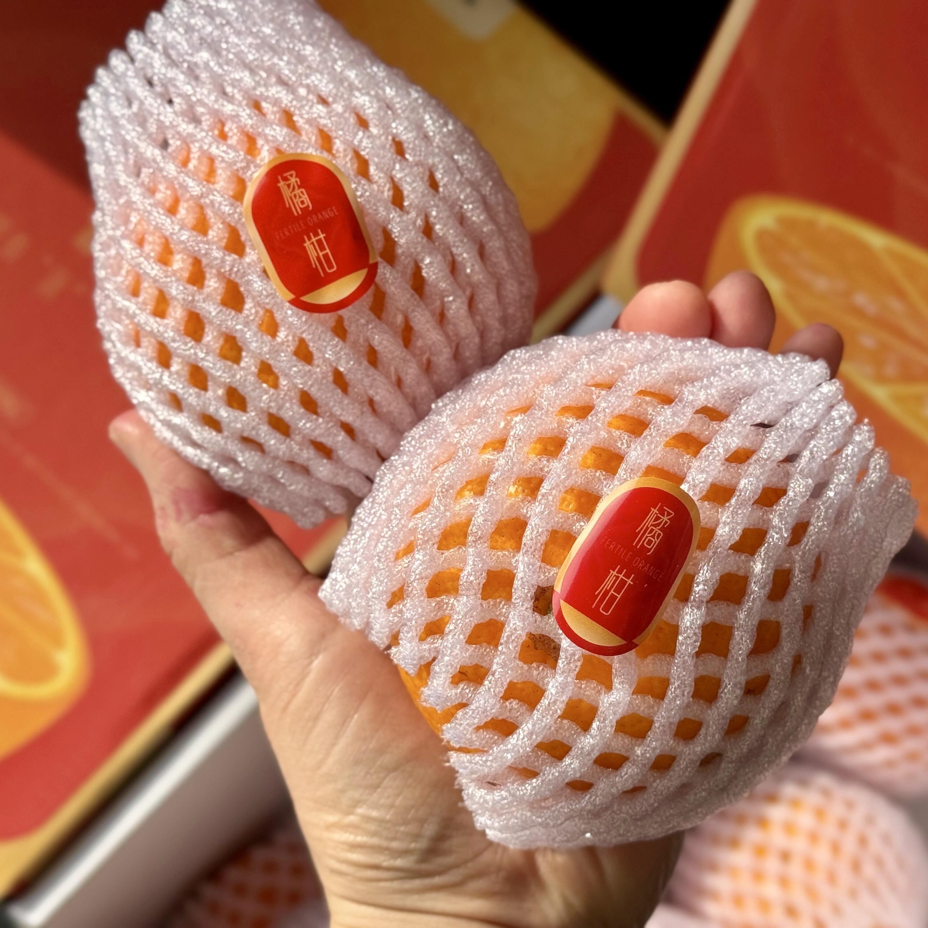 【顺丰包邮】白富美橘柑4斤礼盒装纯甜沃柑橘子蜜桔当季新鲜水果,淘宝优惠券,粉丝福利购,淘宝优惠卷