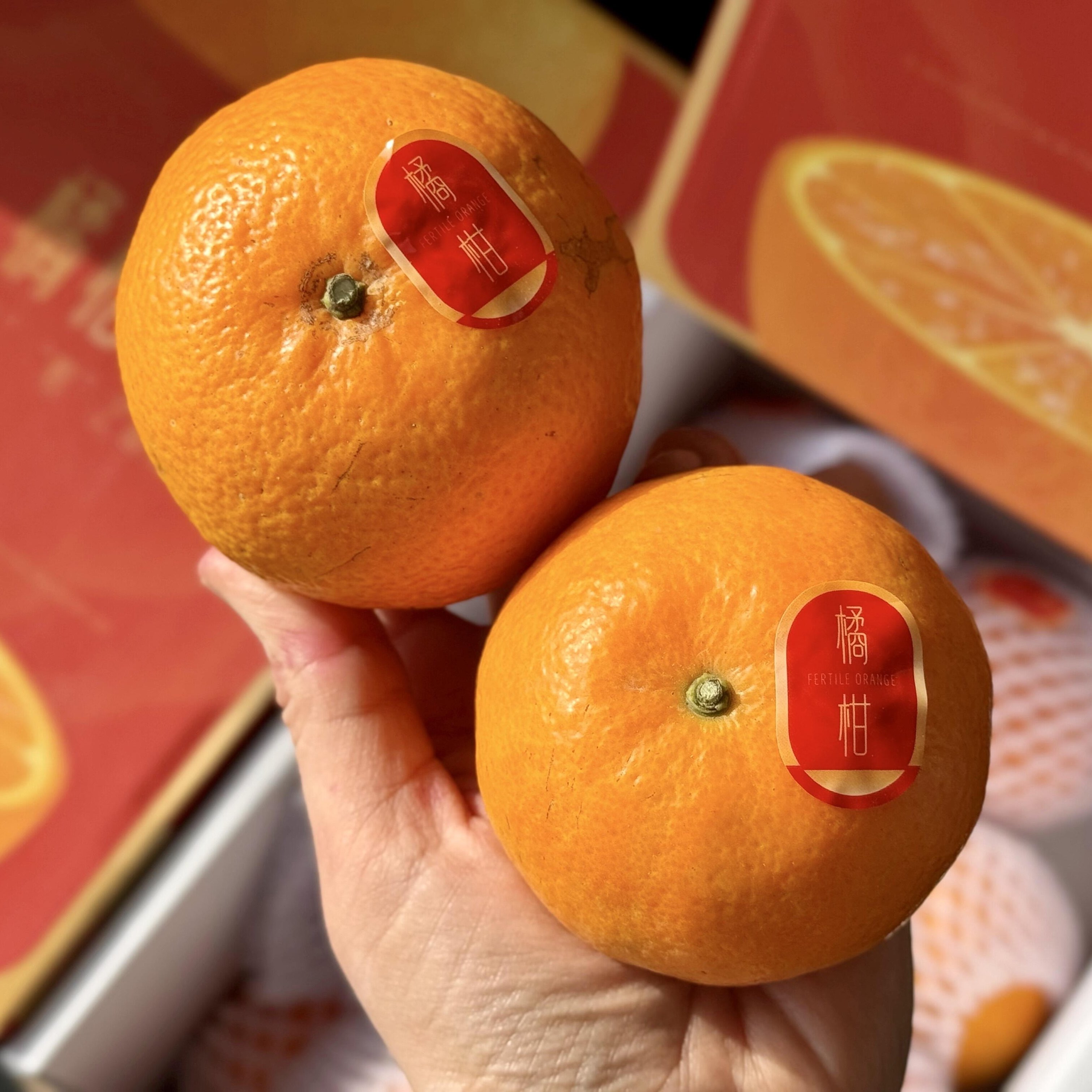 【顺丰包邮】白富美橘柑4斤礼盒装纯甜沃柑橘子蜜桔当季新鲜水果,淘宝优惠券,粉丝福利购,淘宝优惠卷