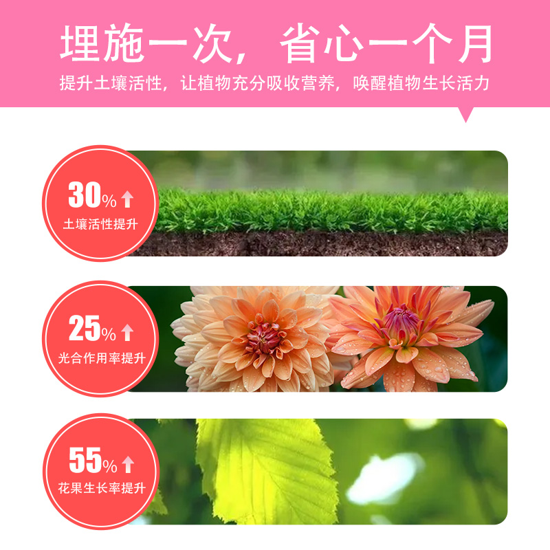 花肥家用通用型花卉绿箩肥料植物颗粒缓释肥速效全能型三元复合肥 - 图0