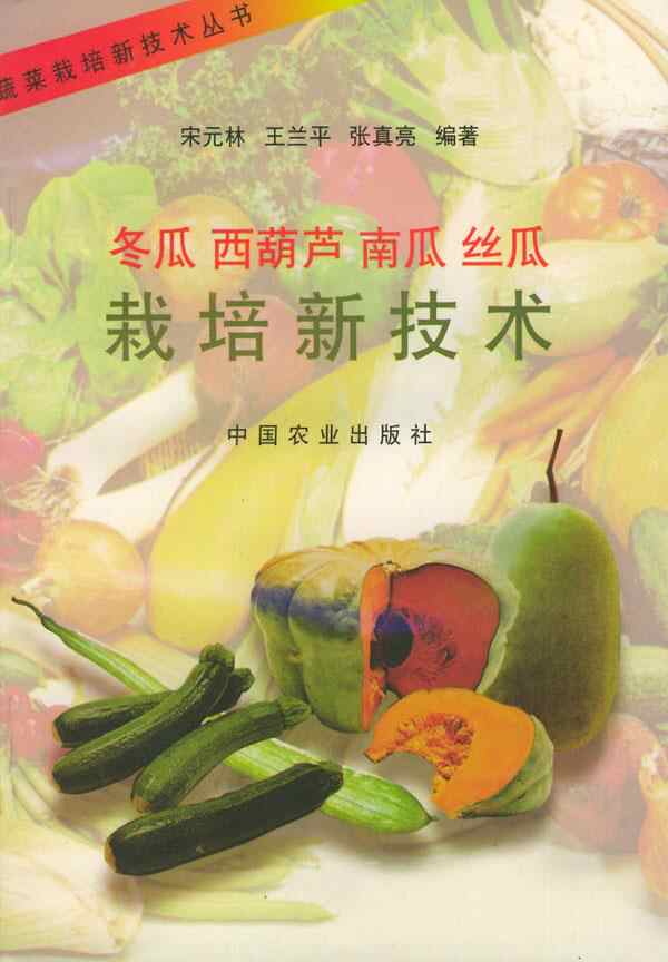 冬瓜栽培技术 新人首单立减十元 21年9月 淘宝海外