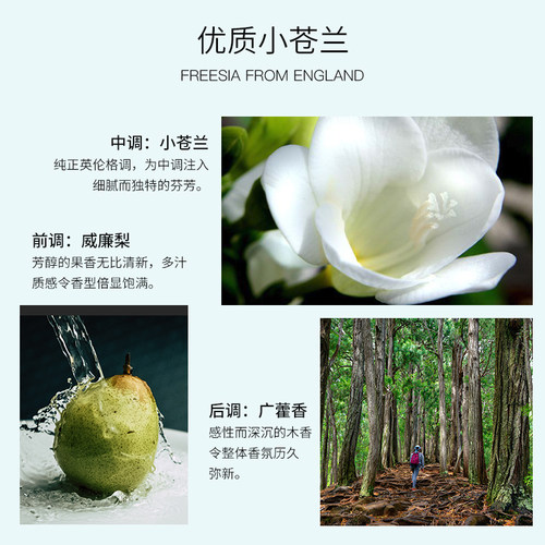 夏伯雅莲AL小苍兰洗发水沐浴露护发素控油柔顺蓬松香氛ALPAALIN - 图2