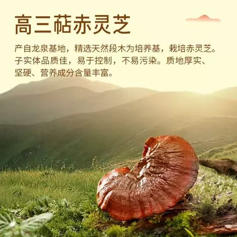 康恩贝破壁灵芝孢子粉增强免疫力营养恢复术后送礼旗舰店保健正品 - 图3