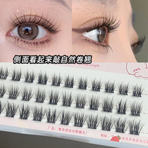 Sloth Eyelash Trilogy Sun Flowers Sectional Female Natural Newhand Ultrafine Thin Stalk Fake Eyelash Li Jiaqi Recommended