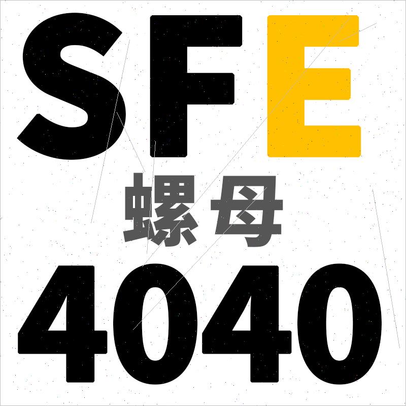 新款TBI互换SFU滚珠丝杆螺母1605丝杠2005 2010螺杆2505丝母4010 - 图0