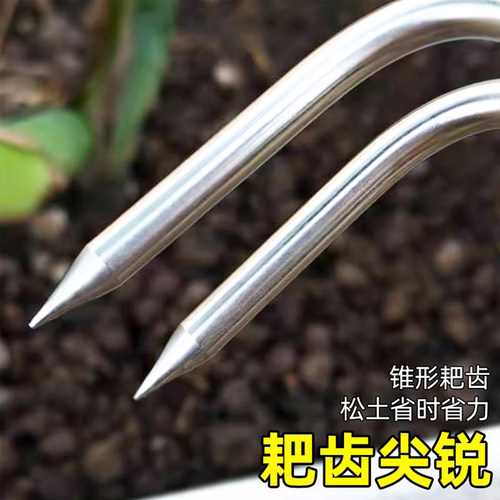 不锈钢小耙子花盆松土捡菌子找蘑菇神器家用种花养花盆栽赶海工具 - 图1