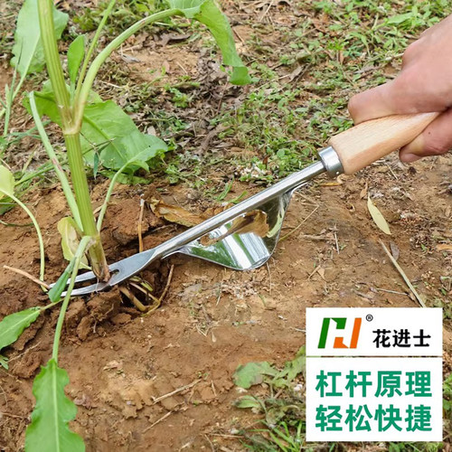 除草神器连根拔草挖野菜缝隙割杂草镰刀家用起苗器不锈钢园艺铲子 - 图2