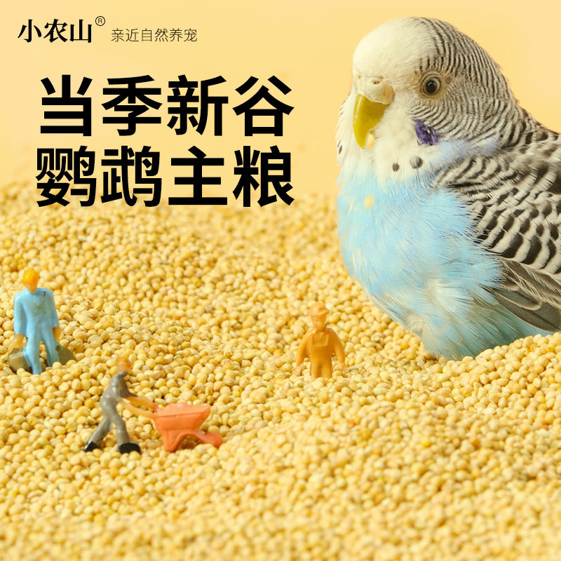 鹦鹉专用新黄谷子带壳小米玄凤虎皮牡丹鸟粮饲料粮食珍珠文鸟鸟食,淘宝优惠券,粉丝福利购,淘宝优惠卷