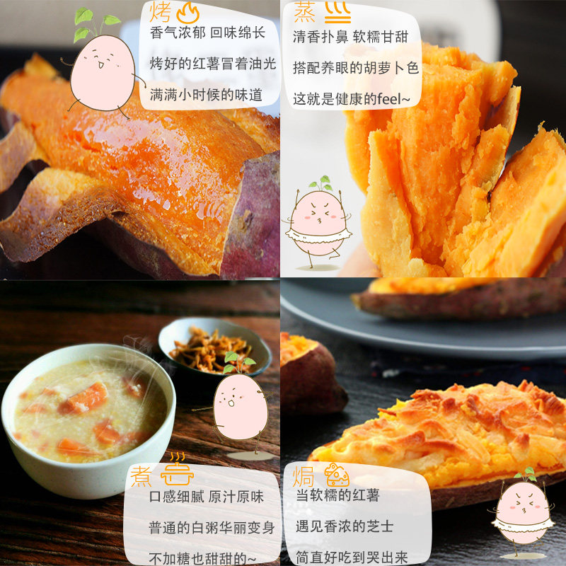 山东崂山新鲜番薯蜜薯糖心香甜板栗 果恰恰番薯