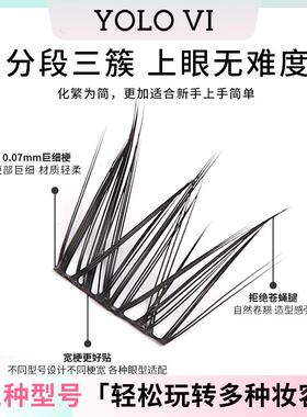 【达人】YOLO VI 摇一夏小雏菊单簇分段式假睫毛新手仿真女款自然