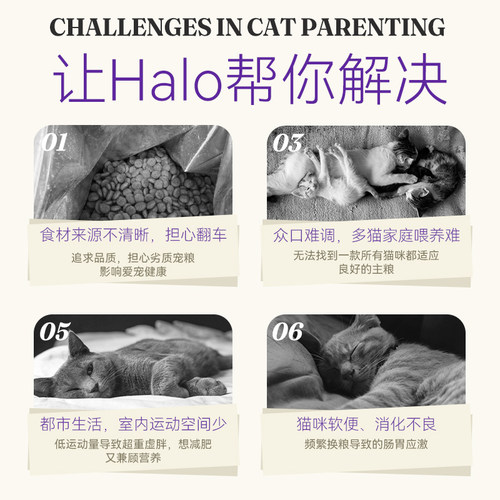 【试吃装】Halo自然光环纯鲜肉克软便肠胃养护营养美毛护肤成猫粮 - 图0