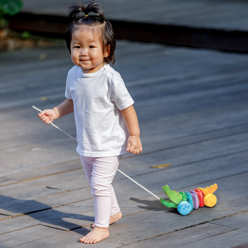 plantoys鳄鱼儿童玩具宝宝拖拉学步木质拉绳牵引牵绳爬行益智礼物 - 图2