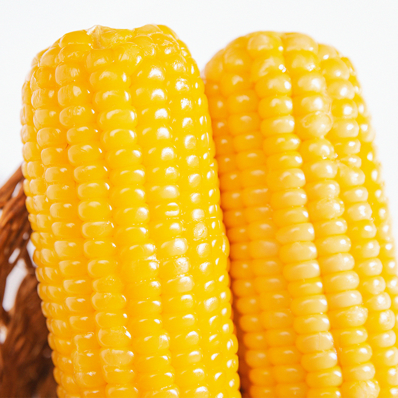 玉米新鲜糯玉米东北黄糯玉米真空包装甜黏大棒苞米即食低脂粘颗
