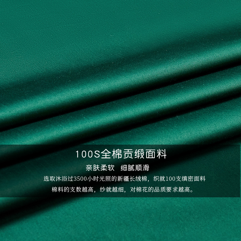 100支纯棉被套单件240x240四季被大尺寸274x248被罩定做3米x250cm - 图1