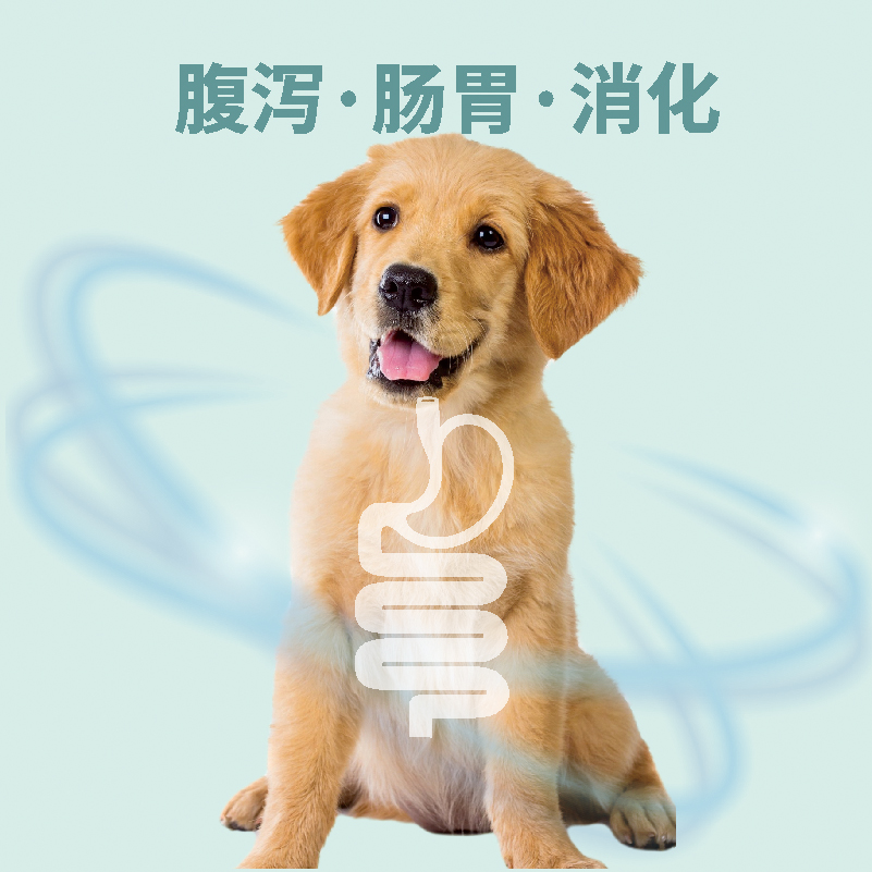 乐宝宠物肠乐康宝益生菌粉肠胃宝消化猫咪狗营养补充剂调理