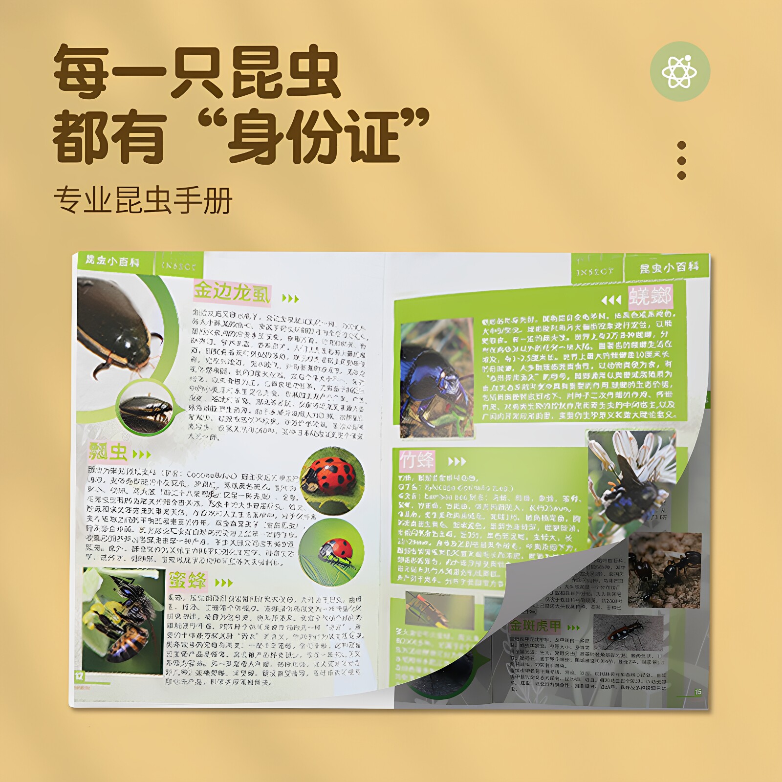 全鹿真实昆虫标本制作工具甲虫动物蝎子原虫琥珀千千谷儿童玩具