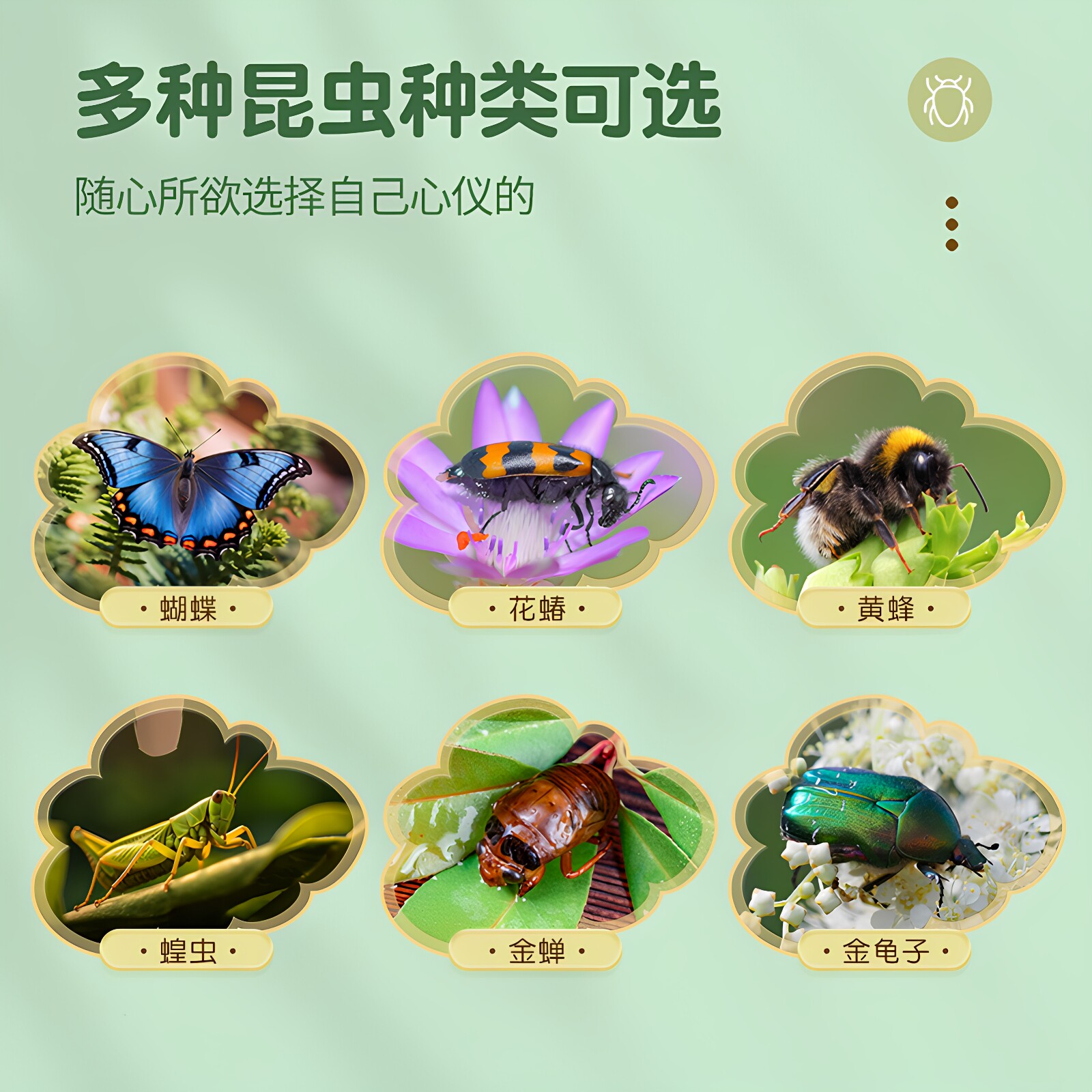 全鹿真实昆虫标本制作工具甲虫动物蝎子原虫琥珀千千谷儿童玩具