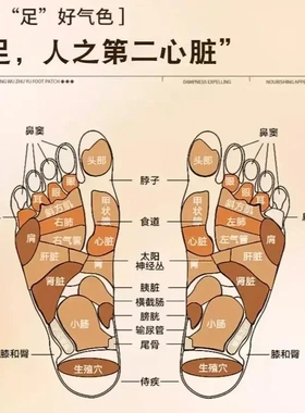 官方正品茯苓八珍艾草足贴