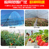 Imported anti-fog PO film thickened greenhouse plastic film anti-aging agricultural drip-free film transparent plastic cloth insulation film