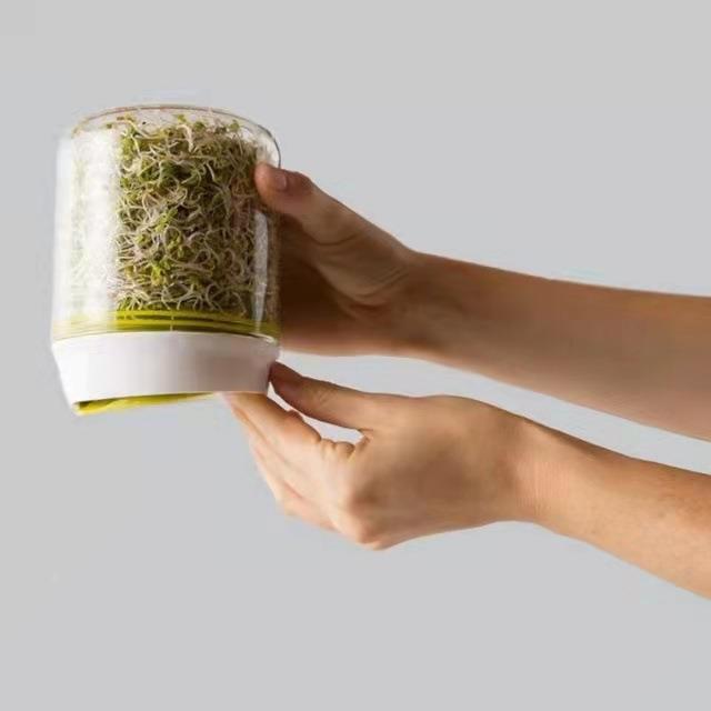 豆芽发芽盆绿豆芽育苗盘发豆芽工具盆水培蔬菜设备种植盒豌豆