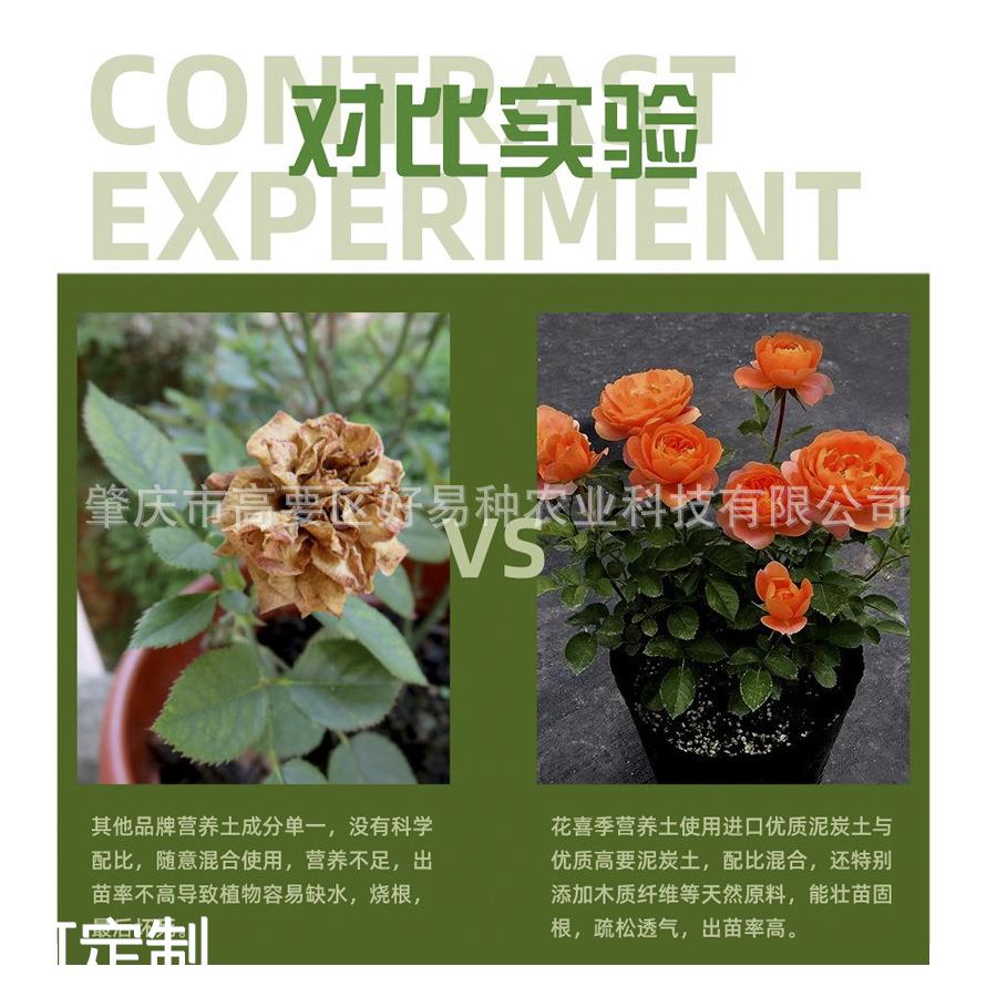 供应家庭园艺多肉植物育苗基质 仙人球多肉土盆栽育苗基质 - 图2