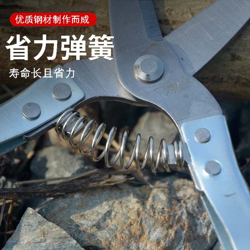 不锈钢剪枝剪刀摘果剪修枝剪桔子剪葡萄剪修花剪稀果剪园艺采果剪,淘宝优惠券,粉丝福利购,淘宝优惠卷