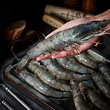 【海洋演义】盐冻新鲜大虾1650g[40元优惠券]-寻折猪