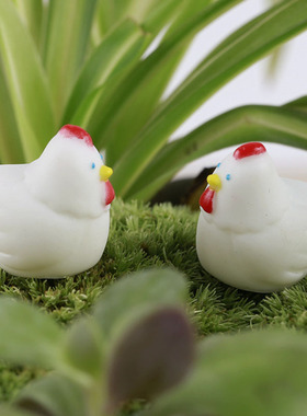 微景观生态瓶盆栽装饰小摆件卡通白色小公鸡迷你母鸡微观摄影摆设