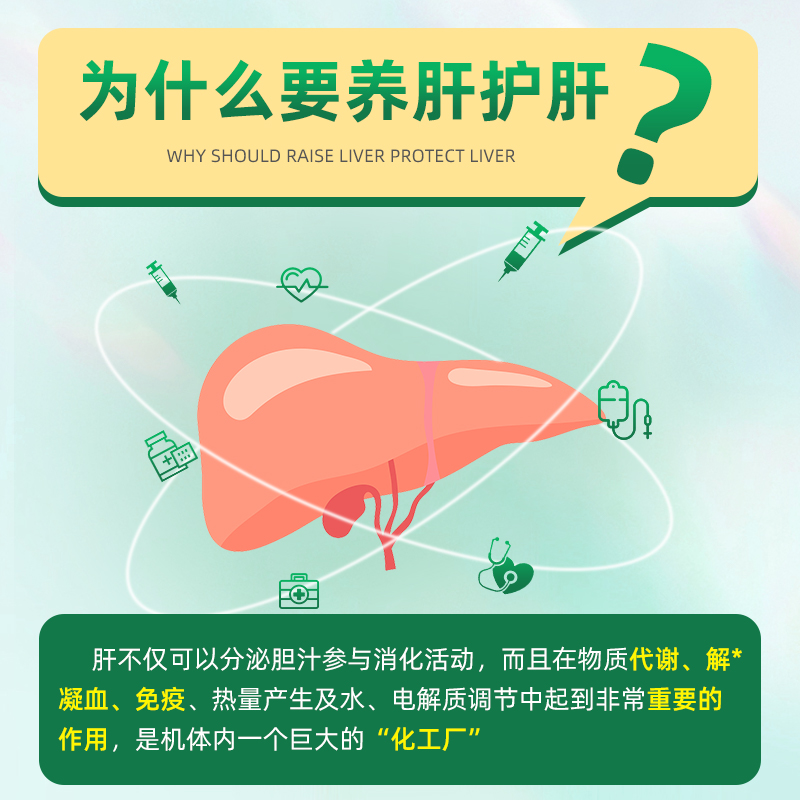 warnke德国护肝片非谷胱甘肽降转氨酶偏高优龙牙肝泰胶囊熬夜解酒 - 图1