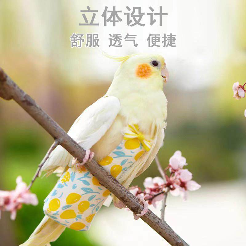 鹦鹉屎兜尿不湿立体款固定肩带可调节大容量尿裤衣服玄凤牡丹虎皮,淘宝优惠券,粉丝福利购,淘宝优惠卷