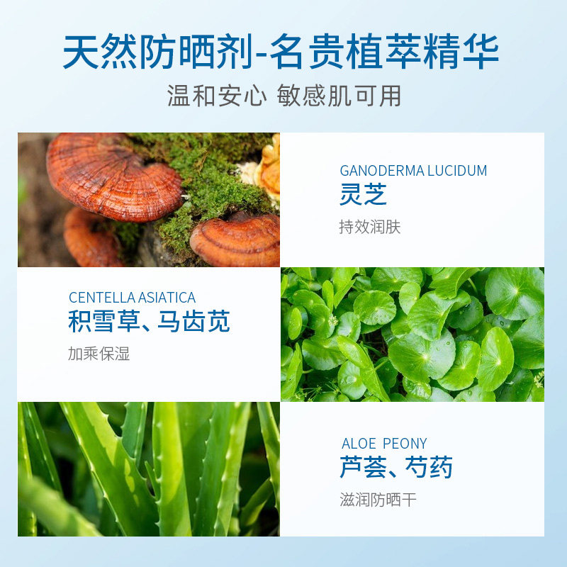 韩国香蒲丽防晒霜隔离二合一面部防晒乳女轻薄秋冬官方60ml,淘宝优惠券,粉丝福利购,淘宝优惠卷