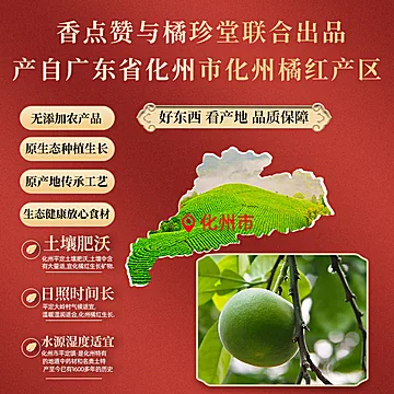 广东橘珍堂化州橘红片100g[16元优惠券]-寻折猪