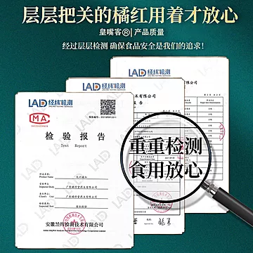 广东橘珍堂化州橘红片100g[16元优惠券]-寻折猪