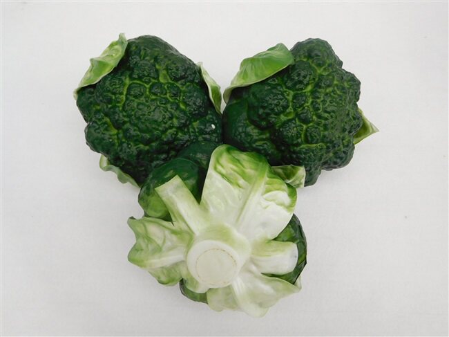 紫色花菜 新人首单立减十元 21年7月 淘宝海外