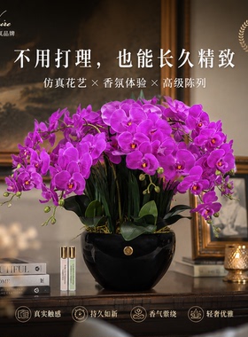 法国香氛花蝴蝶兰香薰摆件