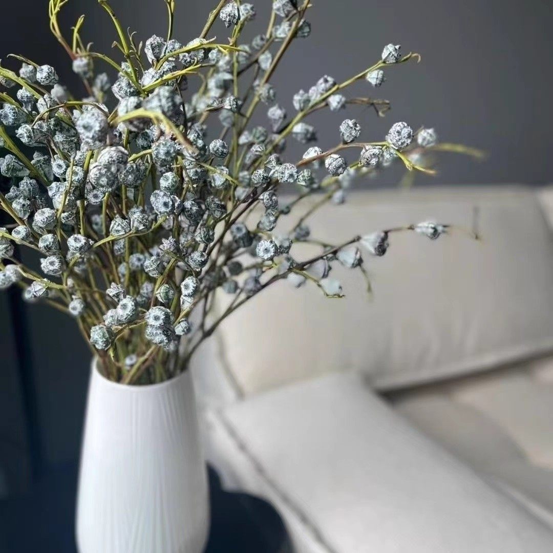 高品质云南新鲜尤加利果尤加利叶鲜花新鲜花材可做干花水培好养,淘宝优惠券,粉丝福利购,淘宝优惠卷