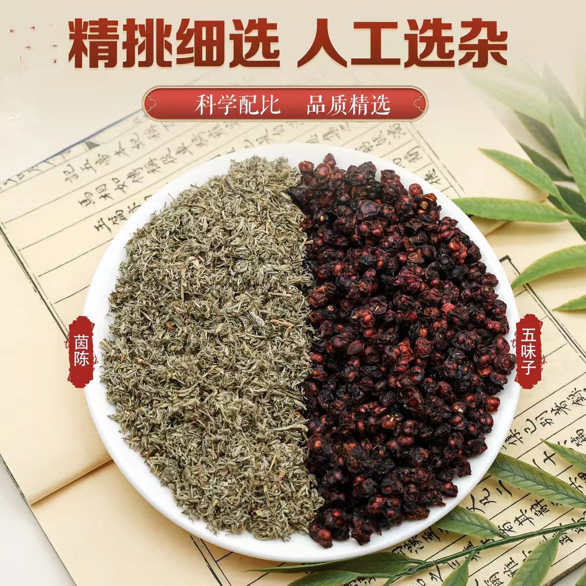 升级款茵陈五味子茶包蒿茶正品三月棉茵陈茶新鲜棉干茵陈泡水喝的功效与作用新鲜正宗茵陈蒿茶白蒿因陈护肝养肝茶 - 图0