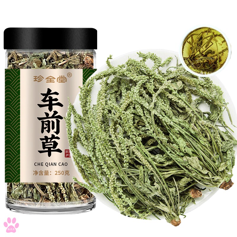 车前草野生中药材的功效与作用车钱草瓜蒌胎菊花木通干货袋泡茶水